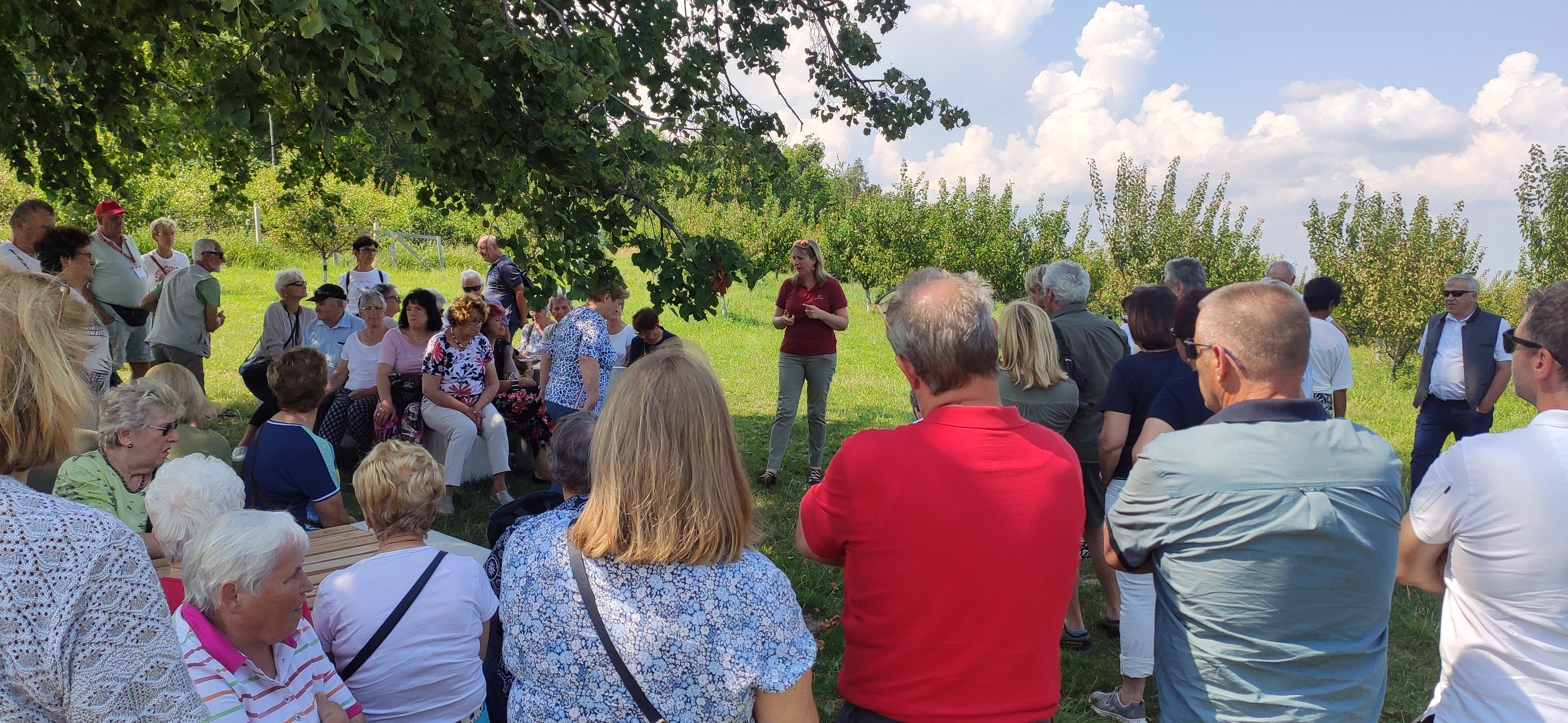 Führung in Lillis Marillengarten