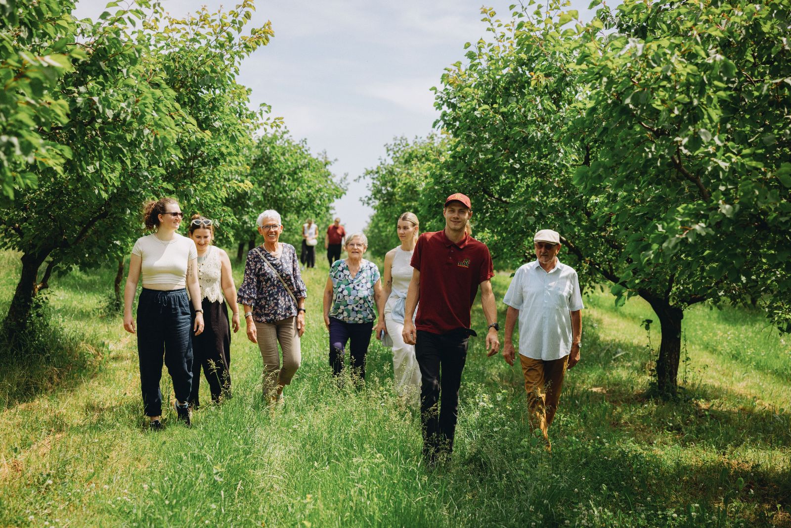 Führung in Lillis Marillengarten