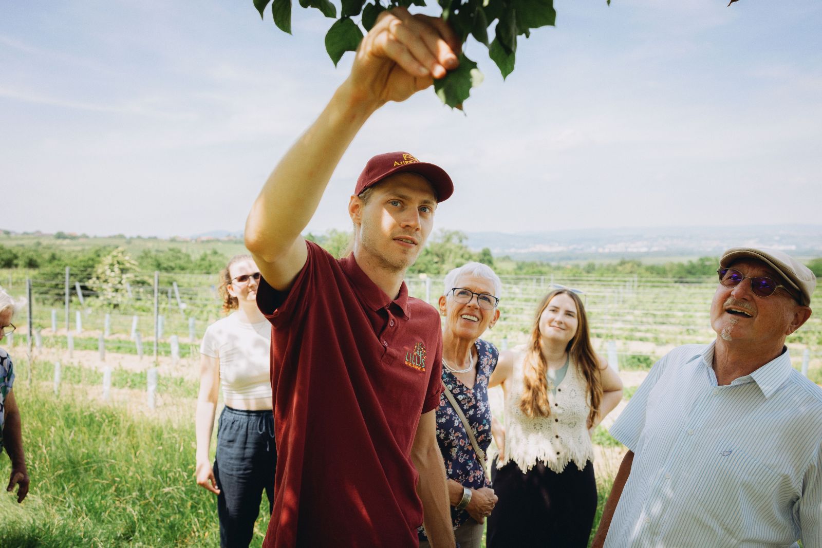 Führung in Lillis Marillengarten