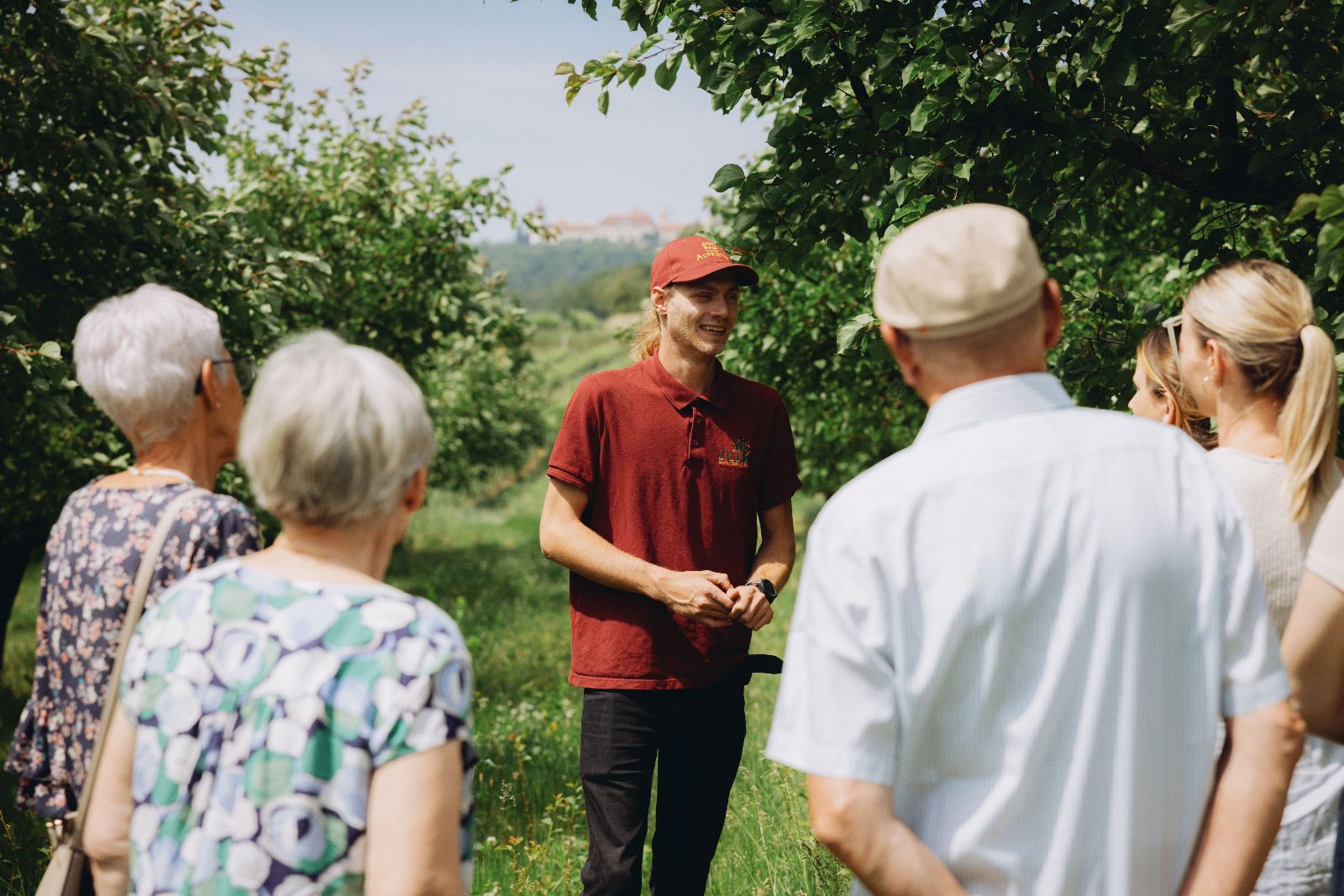 Führung in Lillis Marillengarten