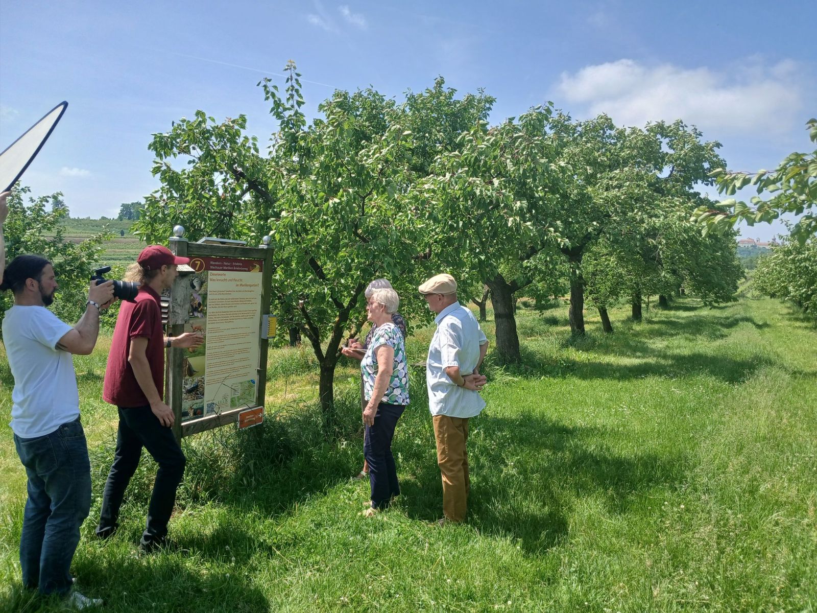 Führung in Lillis Marillengarten